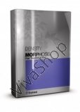 Framesi Morphosis Intensive Care Energy Density Интенсивный укрепляющий лосьон против выпадения волос с экстрактом черники 12х10 мл