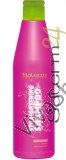 Salerm Straightening shampoo Шампунь для выпрямления волос с водоотталкивающим и anti-frizz эффектом 250 мл